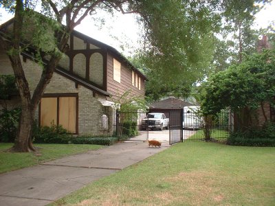 Driveway and Side Yard
